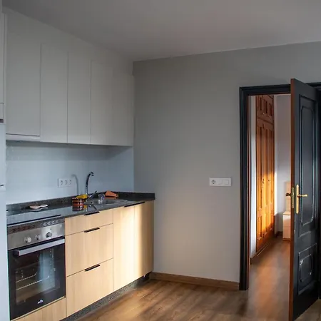 Centro Bembibre 公寓式酒店 Val do Dubra